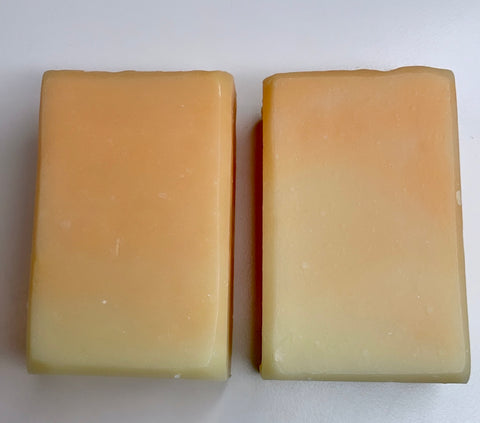 Citrus Agave Soap Twin Pack